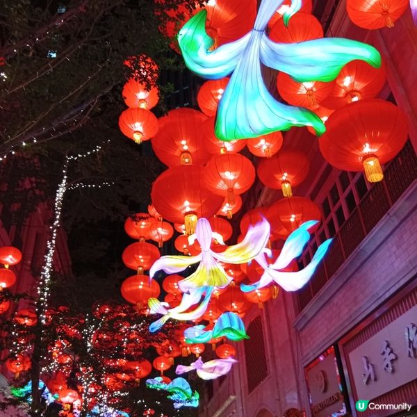 利東街「喜魚映花月」燈籠海🏮✨快啲去打卡！
