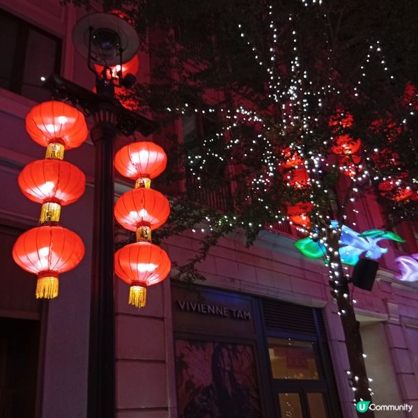 利東街「喜魚映花月」燈籠海🏮✨快啲去打卡！