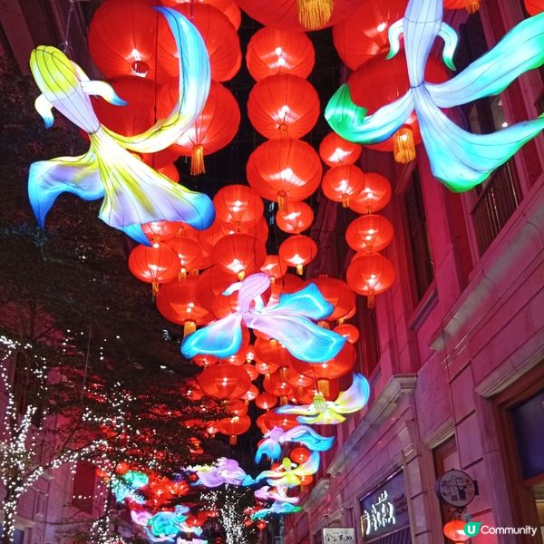 利東街「喜魚映花月」燈籠海🏮✨快啲去打卡！