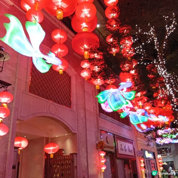 利東街「喜魚映花月」燈籠海🏮✨快啲去打卡！