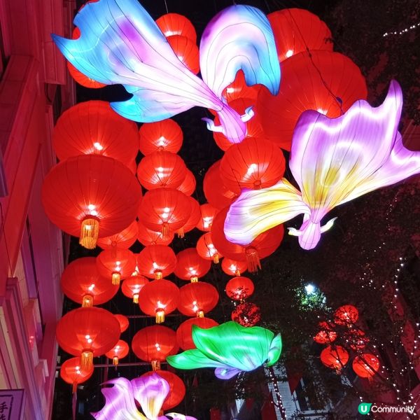 利東街「喜魚映花月」燈籠海🏮✨快啲去打卡！