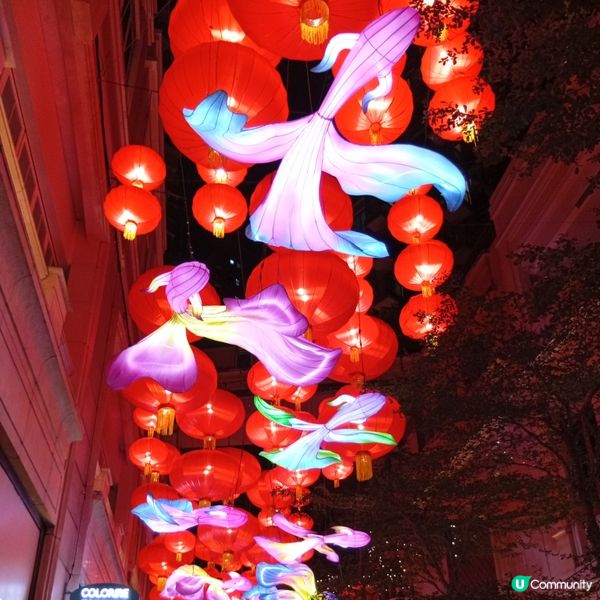 利東街「喜魚映花月」燈籠海🏮✨快啲去打卡！