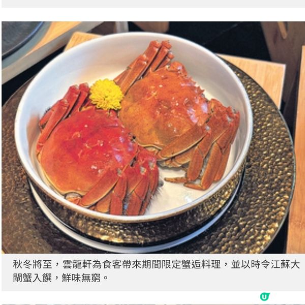 迪士尼樂園推全新餐飲系列 阿Jack怪誕大餐體驗節日滋味