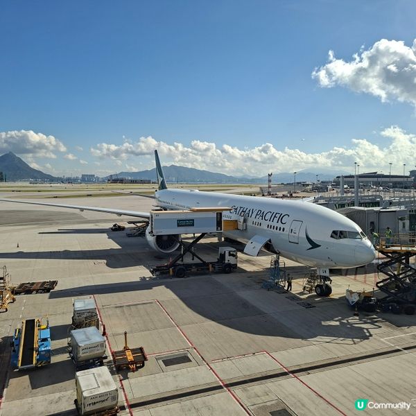 上海早機國泰之旅！飛機機低脂餐標準餐分享🤤 