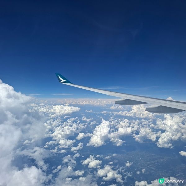 上海早機國泰之旅！飛機機低脂餐標準餐分享🤤 