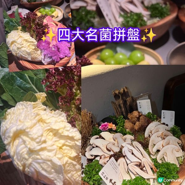 深圳榮山鮮菌鍋🍄 嘆盡高原野菌滋味！