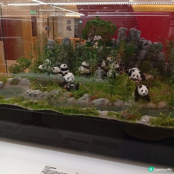 國慶76周年🎉微型藝術展，必睇！🤩