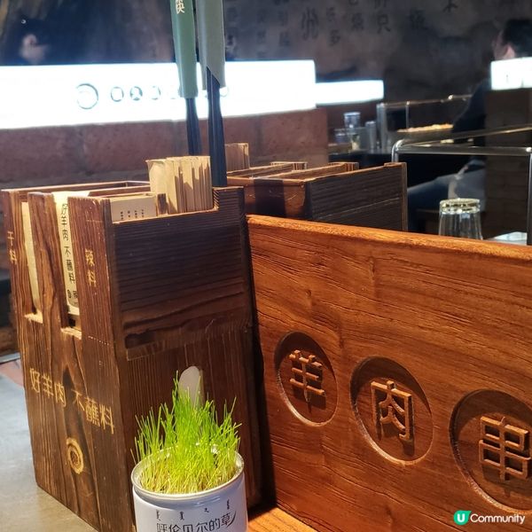 今晚食羊肉串🤤！炭火香到爆！🍢😋