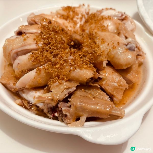 珠海搵食記🤤！鵝肉鵝肝超正！😋