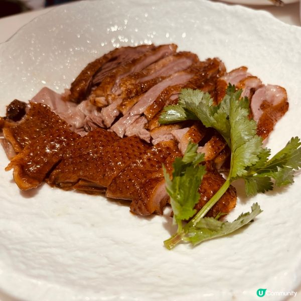 珠海搵食記🤤！鵝肉鵝肝超正！😋