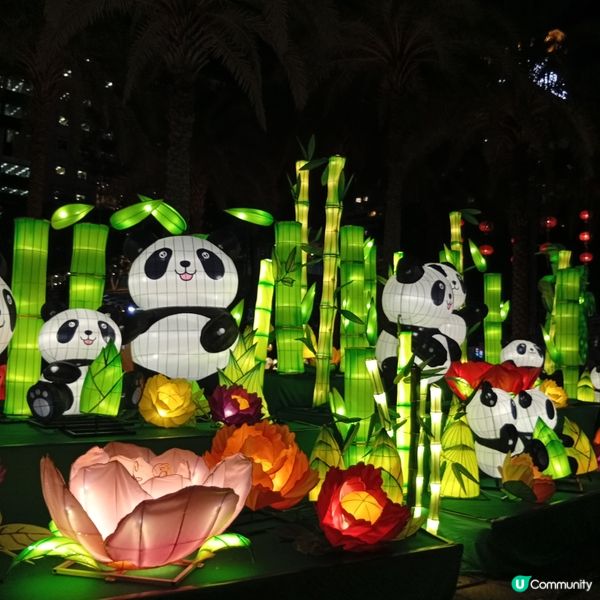 中秋維園綵燈會🏮！氣氛勁正，各位必睇😍！