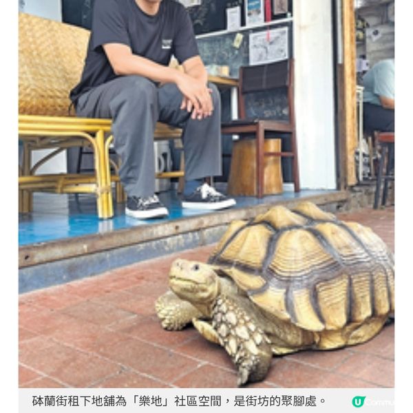 樂地文化社區工作者激活年輕人與油麻地的化學作用