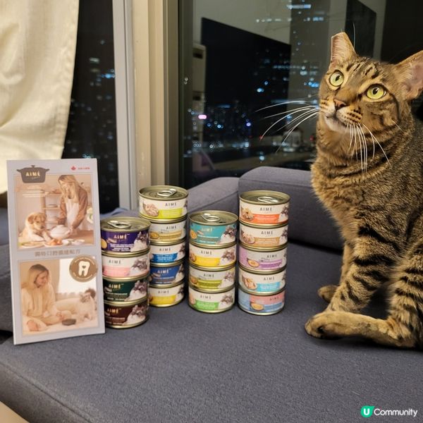 1.  貓奴注意！星期五貓罐頭大餐 😻 ｜健康之選！