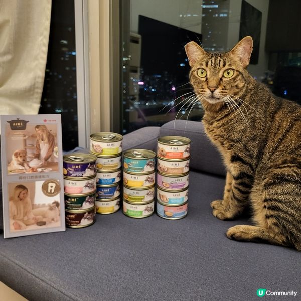 1.  貓奴注意！星期五貓罐頭大餐 😻 ｜健康之選！
