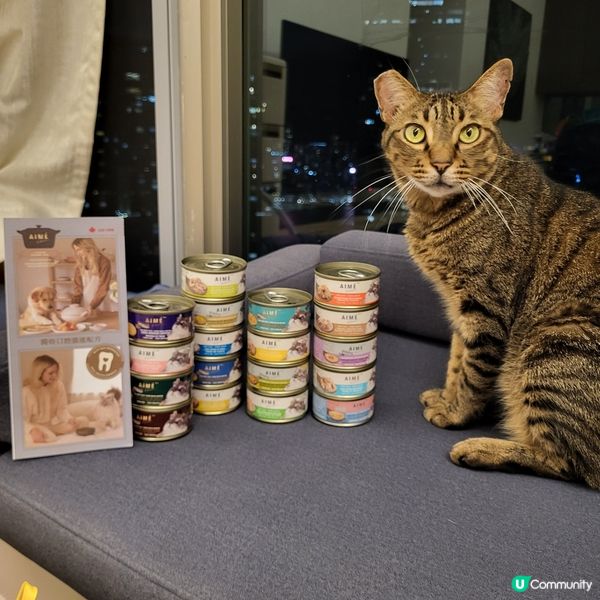 1.  貓奴注意！星期五貓罐頭大餐 😻 ｜健康之選！