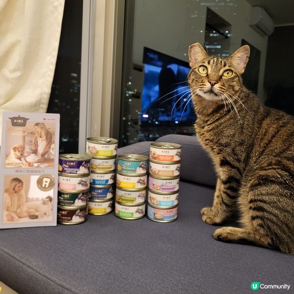 1.  貓奴注意！星期五貓罐頭大餐 😻 ｜健康之選！