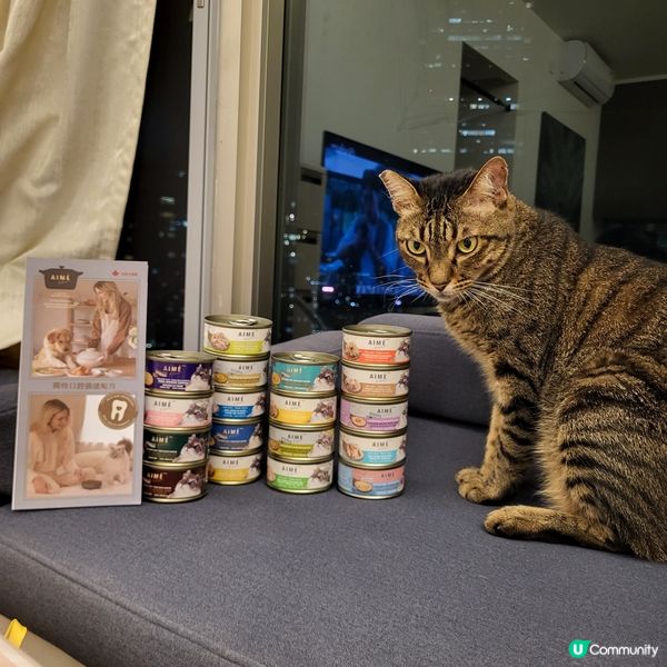 1.  貓奴注意！星期五貓罐頭大餐 😻 ｜健康之選！