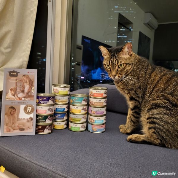 1.  貓奴注意！星期五貓罐頭大餐 😻 ｜健康之選！