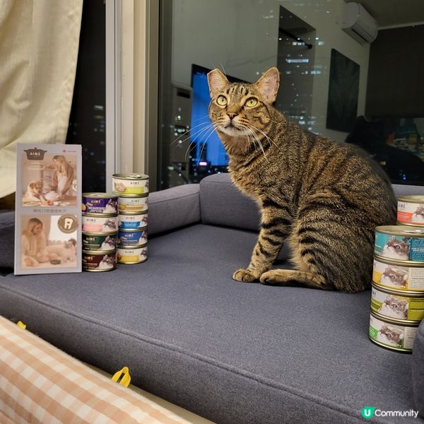 1.  貓奴注意！星期五貓罐頭大餐 😻 ｜健康之選！