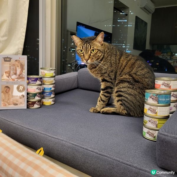 1.  貓奴注意！星期五貓罐頭大餐 😻 ｜健康之選！