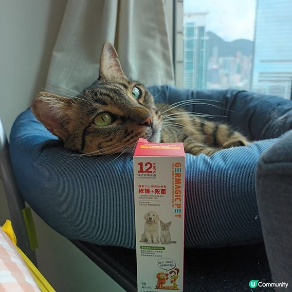 神仙水急救！耳仔都生返毛啦！🤩