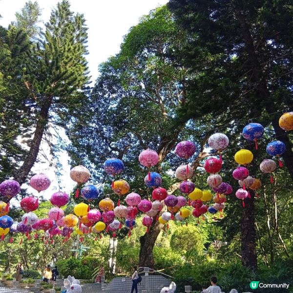 中秋賞燈！香港公園金龍魚🐉+玉兔🐰花燈超萌！