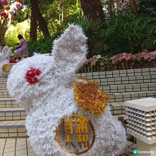 中秋賞燈！香港公園金龍魚🐉+玉兔🐰花燈超萌！