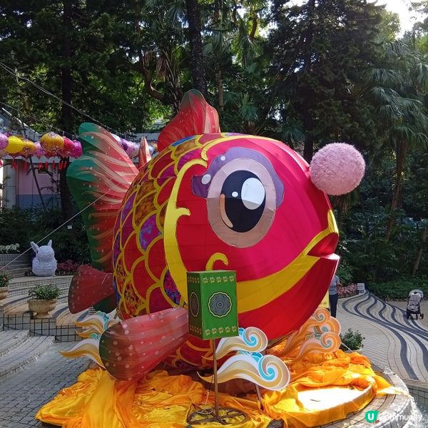 中秋賞燈！香港公園金龍魚🐉+玉兔🐰花燈超萌！