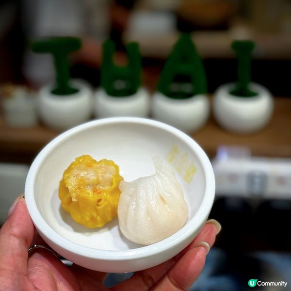 「泰」創新放題@泰金鍋