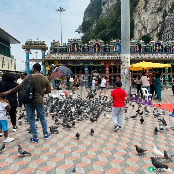 黑風洞🌈！打卡吉隆坡七彩階梯！🤩