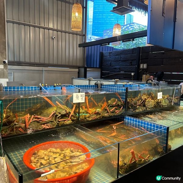 海腳人海鮮盛宴！米芝蓮推介😋🦀🐟