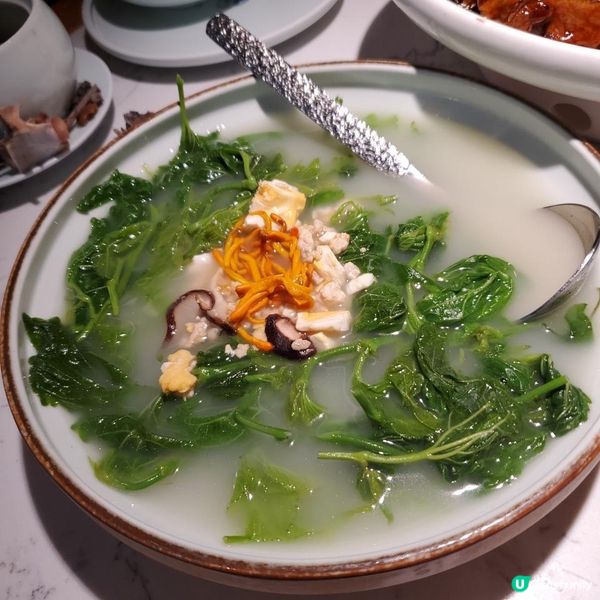 广州融创大榕树下