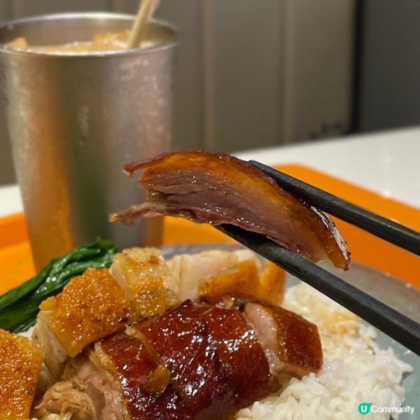 假日科學園嘆茶記！😋 燒味超正！🤤