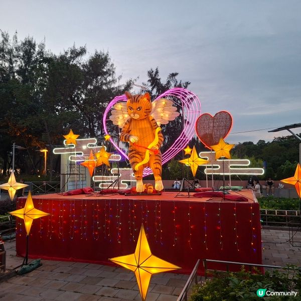 維園追月記🏮本土特色燈飾勁靚🤩