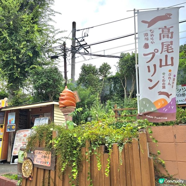 東京市行到悶第三篇!😁高尾山真係好療癒!🏞