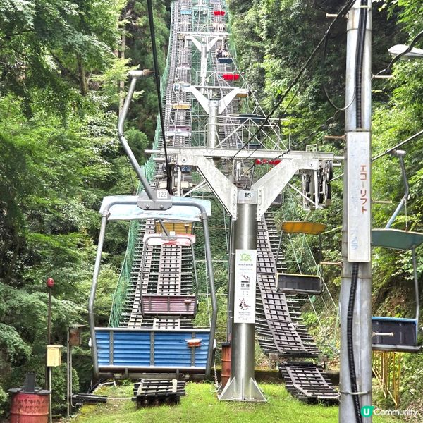 東京市行到悶第三篇!😁高尾山真係好療癒!🏞
