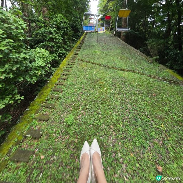 東京市行到悶第三篇!😁高尾山真係好療癒!🏞