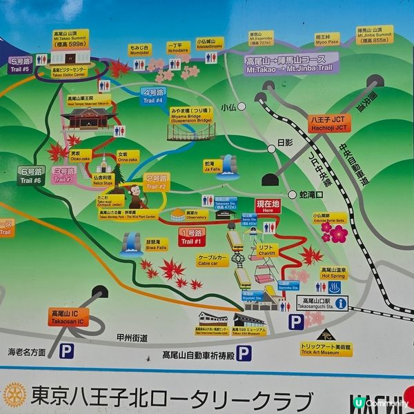 東京市行到悶第三篇!😁高尾山真係好療癒!🏞