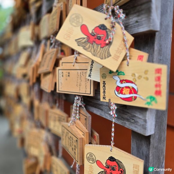 東京市行到悶第三篇!😁高尾山真係好療癒!🏞