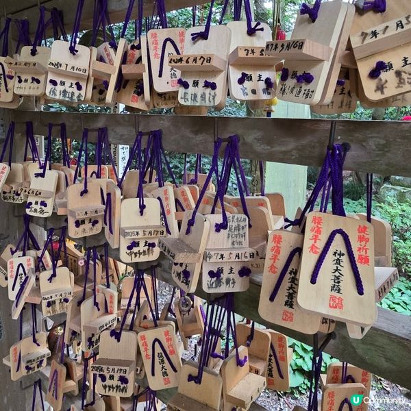 東京市行到悶第三篇!😁高尾山真係好療癒!🏞