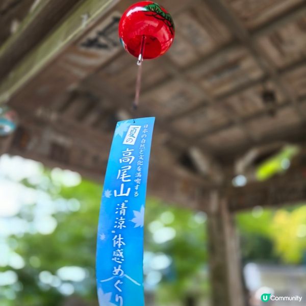 東京市行到悶第三篇!😁高尾山真係好療癒!🏞
