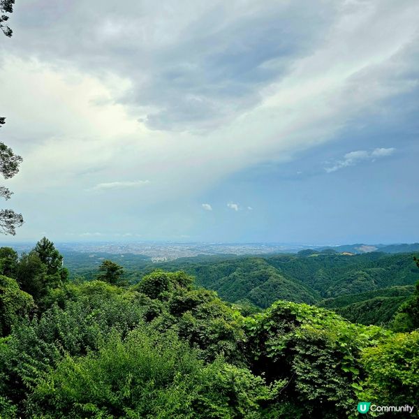 東京市行到悶第三篇!😁高尾山真係好療癒!🏞