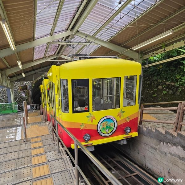 東京市行到悶第三篇!😁高尾山真係好療癒!🏞
