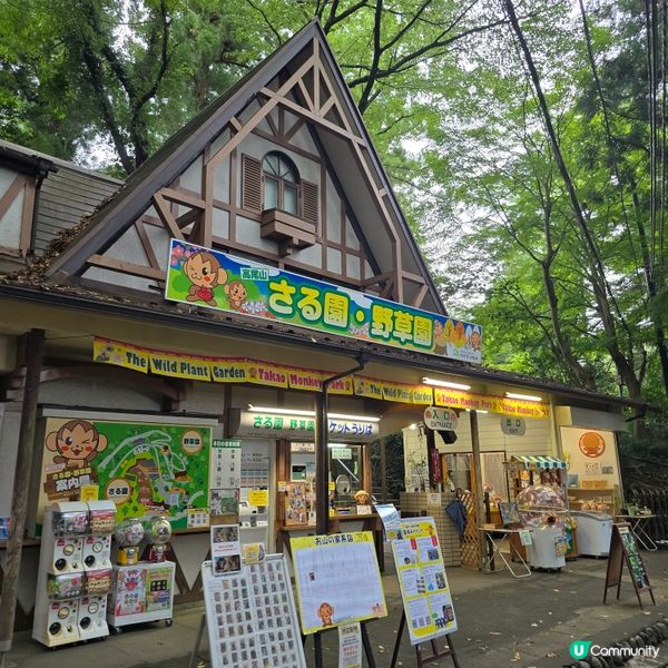 東京市行到悶第三篇!😁高尾山真係好療癒!🏞