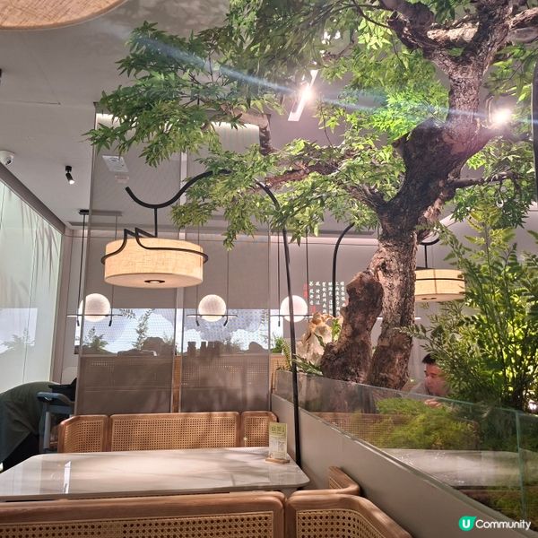 將軍澳綠茶餐廳新開張😋江浙菜式好吃推介💯