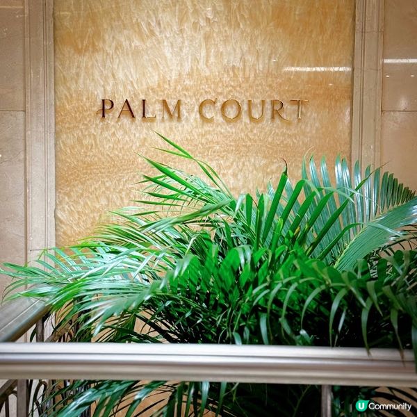 秋意濃@PALM COURT