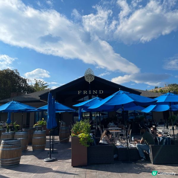 ✈️基隆拿。Frind Estate Winery