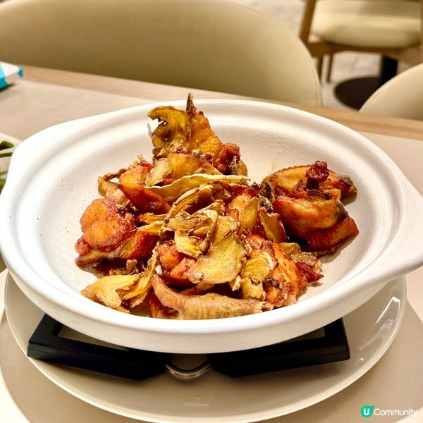 ❤️‍🔥甫田大癲❤️‍🔥