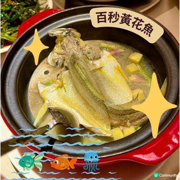 ❤️‍🔥甫田大癲❤️‍🔥