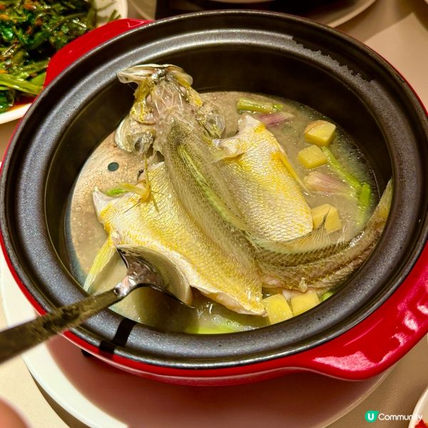 ❤️‍🔥甫田大癲❤️‍🔥